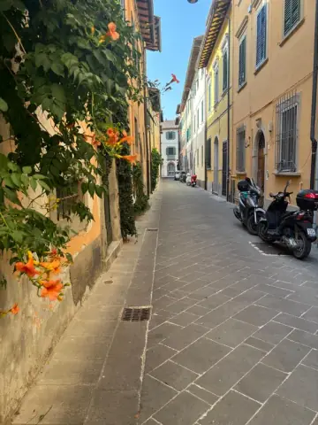 Il vicolo fiorito di Pisa davanti alla dimora